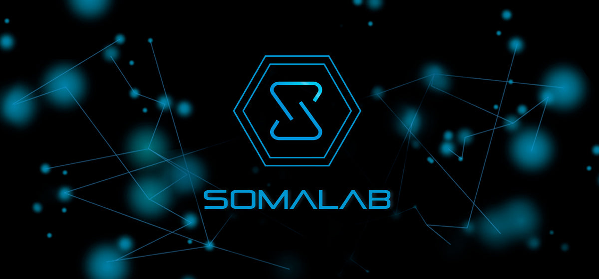 Somalab International LLC