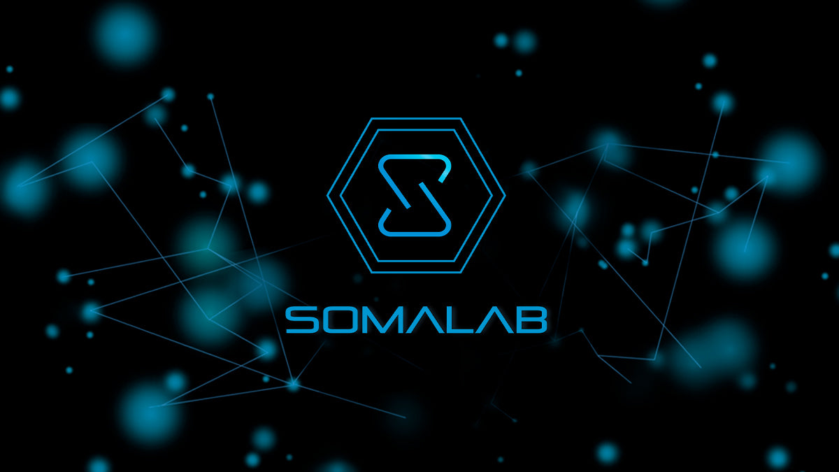 Somalab International LLC