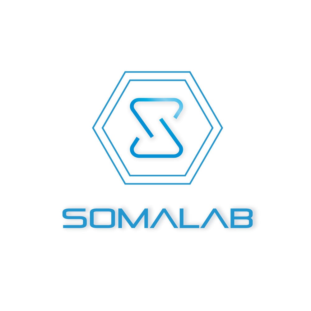 Somalab International LLC